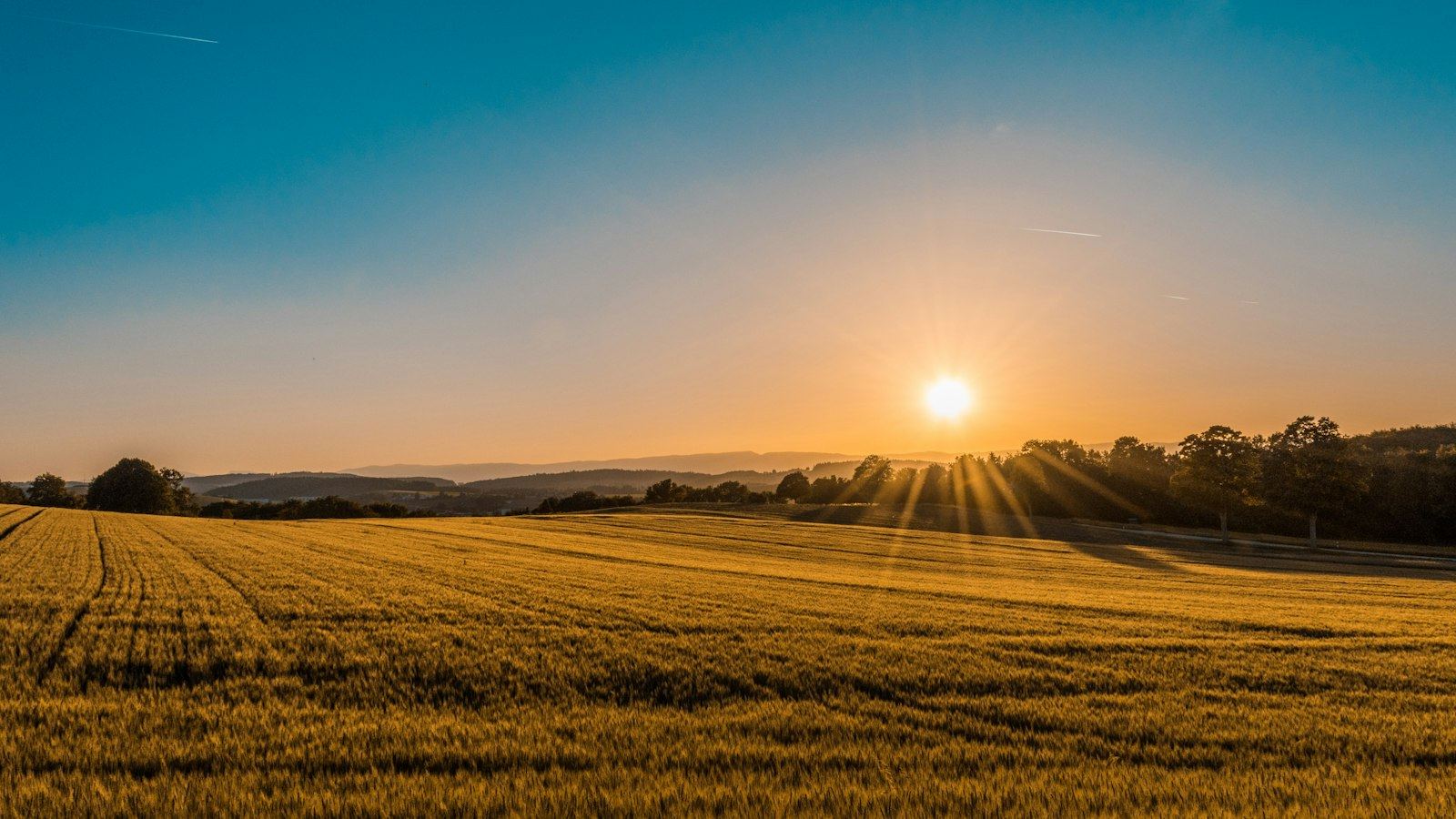 Campagne de la Broye au lever du soleil